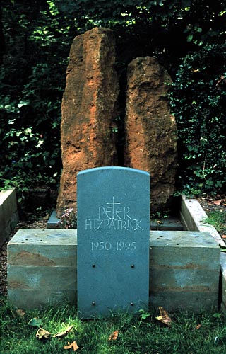 peter fitzpatrick